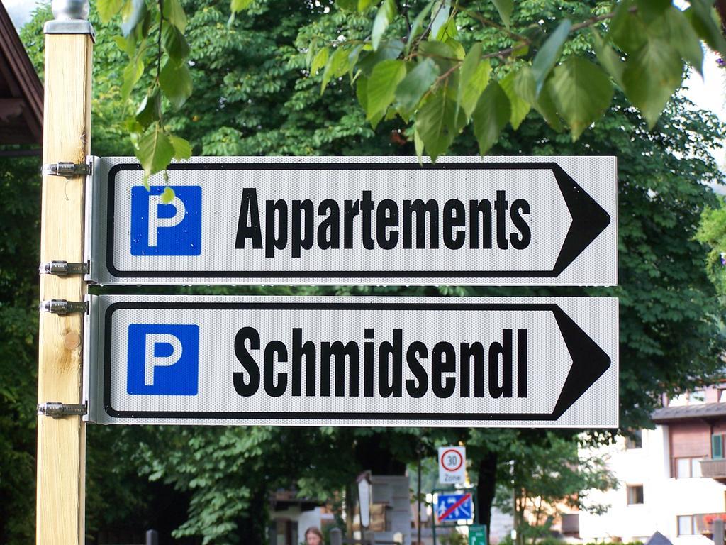 Appartements Schmidsendl Lofer Dış mekan fotoğraf